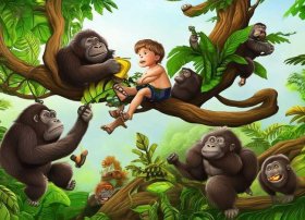 关于猩猩的故事绘本、关于猩猩的故事绘本图片