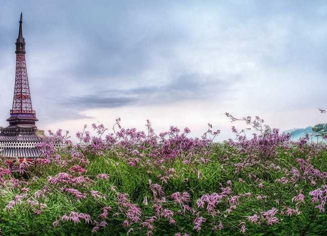 变色龙的故事大全 变色龙的故事大全50字