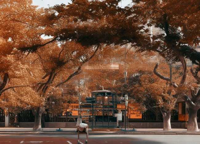 儿童式瑜伽 儿童瑜伽教程 儿童式瑜伽 儿童瑜伽教程