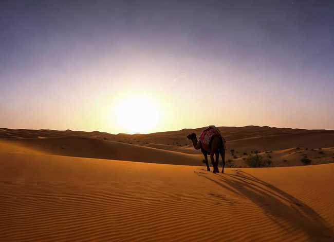 讲沙漠的故事(讲沙漠的故事英语) 讲沙漠的故事(讲沙漠的故事英语)