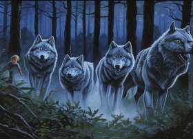 狼的故事大全儿童专看（狼的故事大全100）