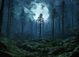 孔雀公主的故事睡前故事、孔雀公主的故事睡前故事在线听