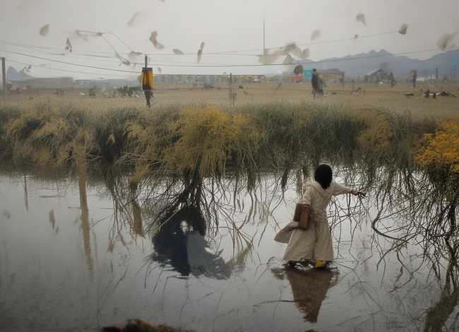 给儿童讲蝉的小故事，蝉的小故事100字