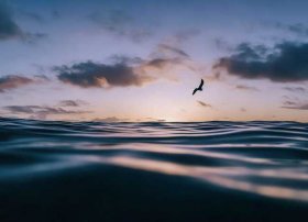 大海讲故事 - 听大海讲故事