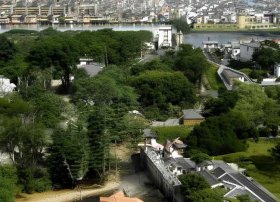 儿童故事大全睡前讲故事（儿童故事大全睡前故事在线播放）