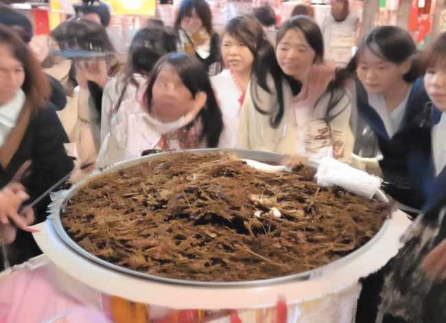 给儿童讲蝉的小故事，蝉的小故事100字