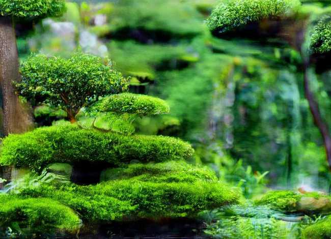 西瓜长刺了的故事;西瓜长刺了的故事视频 西瓜长刺了的故事;西瓜长刺了的故事视频