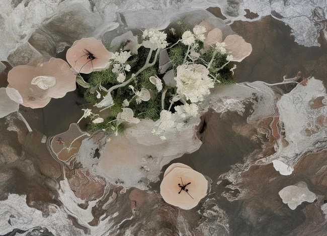 儿童故事木偶奇遇记全集 讲故事木偶奇遇记全集