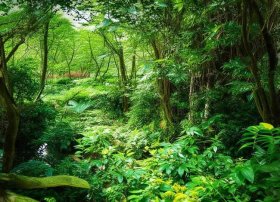 关于蜗牛的作文；关于蜗牛的作文题目怎么取