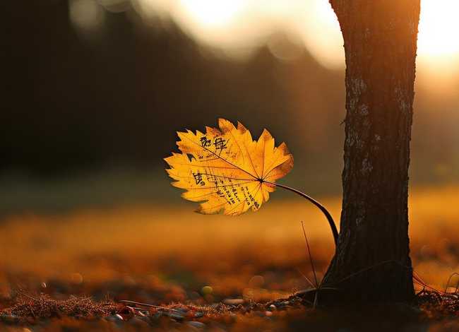 世界上最短的故事20多个字 - 世界上最短的故事20多个字左右 世界上最短的故事20多个字 - 世界上最短的故事20多个字左右