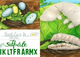 蚕宝宝绘本视频、蚕宝宝绘本视频大全