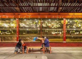 闪闪的红星简单故事 闪闪的红星简单故事50字