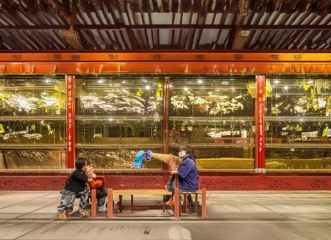 闪闪的红星简单故事 闪闪的红星简单故事50字 闪闪的红星简单故事 闪闪的红星简单故事50字