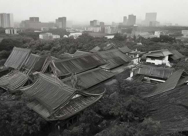 三只小猪儿童故事30字以内 - 三只小猪故事简短30字