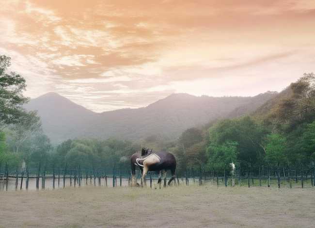 丽江故事完整版、丽江的浪漫故事 丽江故事完整版、丽江的浪漫故事