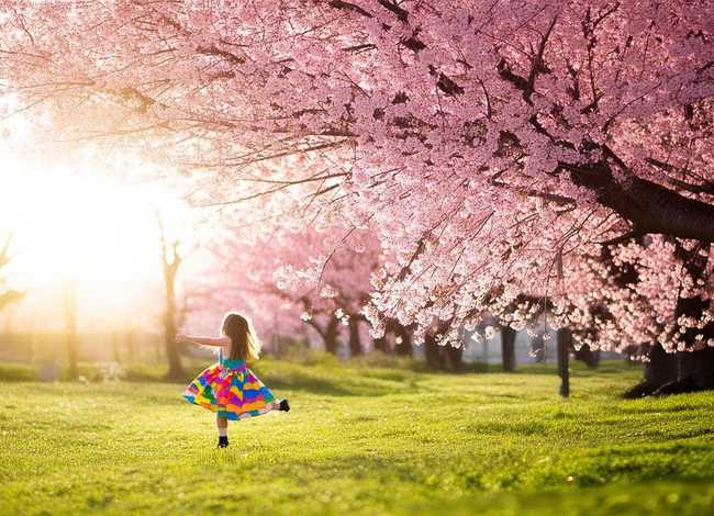 春天来了故事简短,春天来了故事简短20字 春天来了故事简短,春天来了故事简短20字