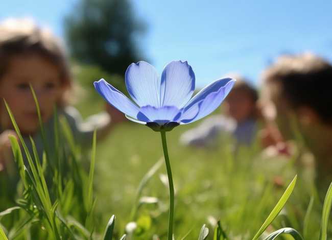 蓝色小花儿童故事(幼儿故事一朵蓝色的小花) 蓝色小花儿童故事(幼儿故事一朵蓝色的小花)