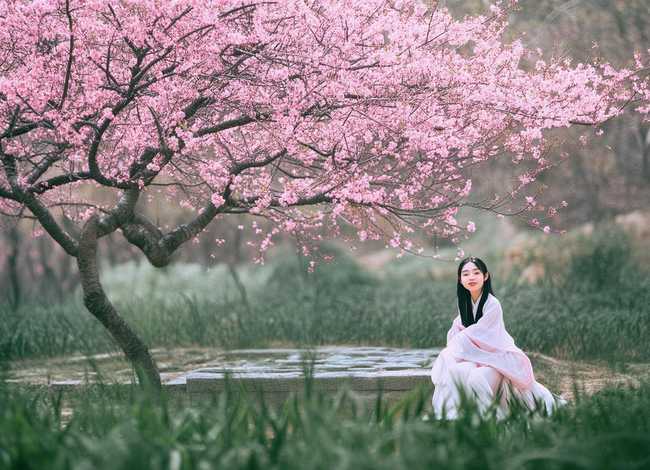 关于桃花的故事简短 关于桃花的故事简短50字