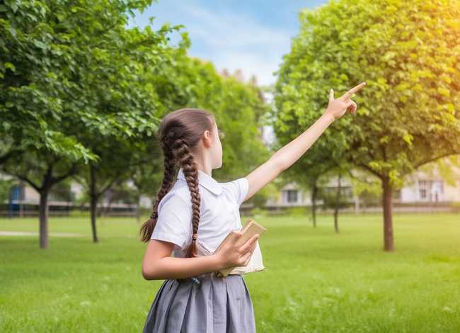 成长的故事作文250字六年级、成长的故事作文250字六年级上册 成长的故事作文250字六年级、成长的故事作文250字六年级上册