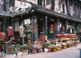 葡萄的故事童话故事，葡萄的故事100字