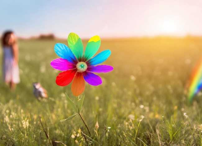 七色花简单的故事 七色花简单的故事50字