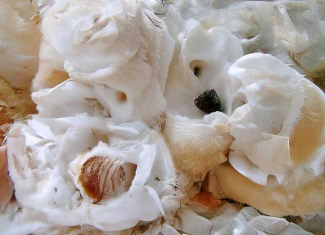 最危险的故事 最危险的故事电影 最危险的故事 最危险的故事电影