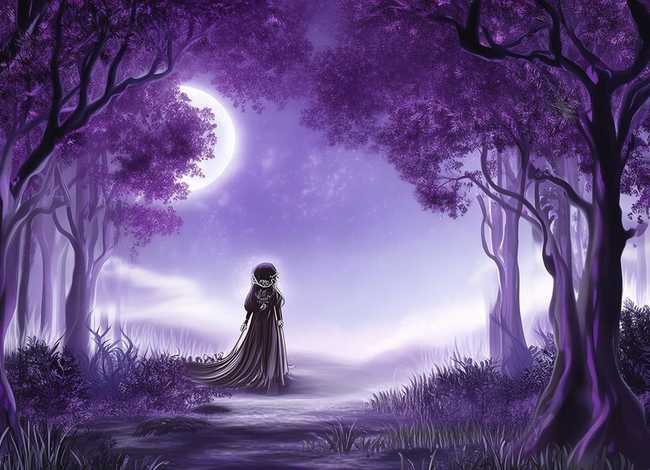 关于紫月的动画片、关于紫月的动画片叫什么