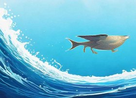 虎鲸绘本故事 - 虎鲸绘本故事在线阅读