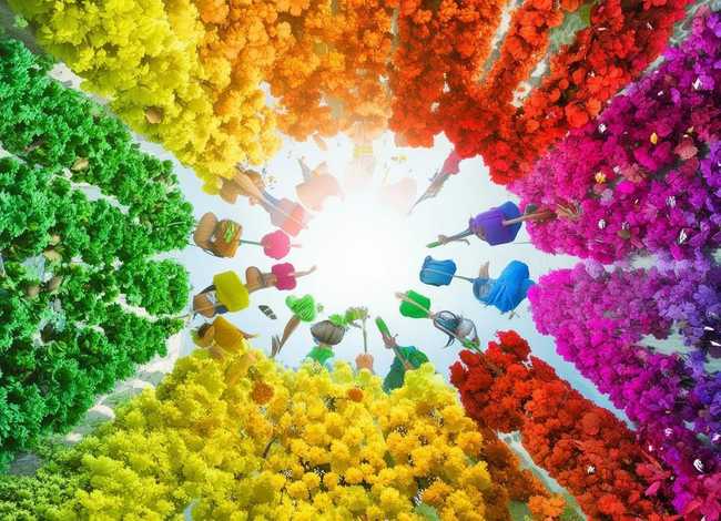 儿童歌曲七色花之歌，儿童歌曲七色花之歌简谱