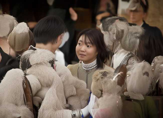 动物童话故事100字三年级；动物编童话故事100字三年级