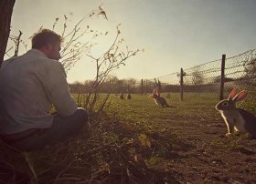 守株待兔故事文字版 守株待兔的故事简短文字