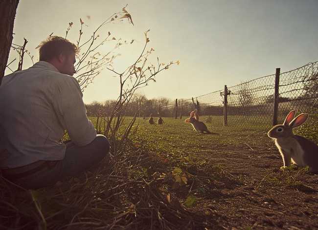 守株待兔故事文字版 守株待兔的故事简短文字