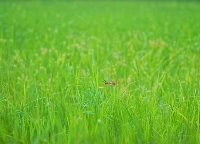 短篇儿童故事大全,短篇儿童故事大全小蜗牛 短篇儿童故事大全,短篇儿童故事大全小蜗牛