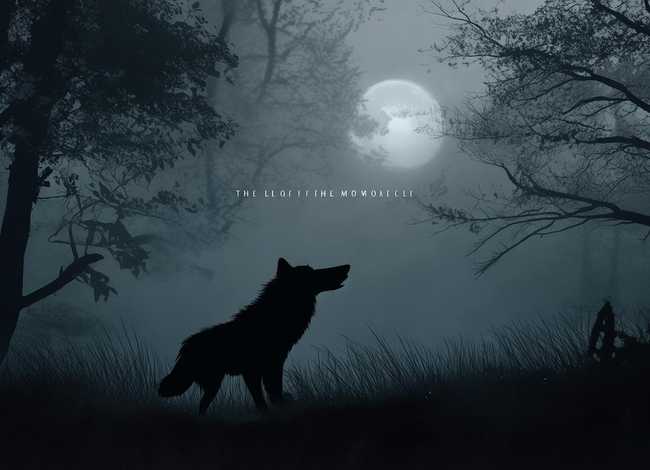 有没有关于狼的故事 有没有关于狼的故事名字 有没有关于狼的故事 有没有关于狼的故事名字