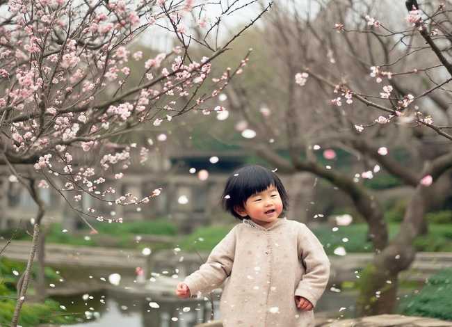 梅花儿童古诗;幼儿古诗梅花 梅花儿童古诗;幼儿古诗梅花