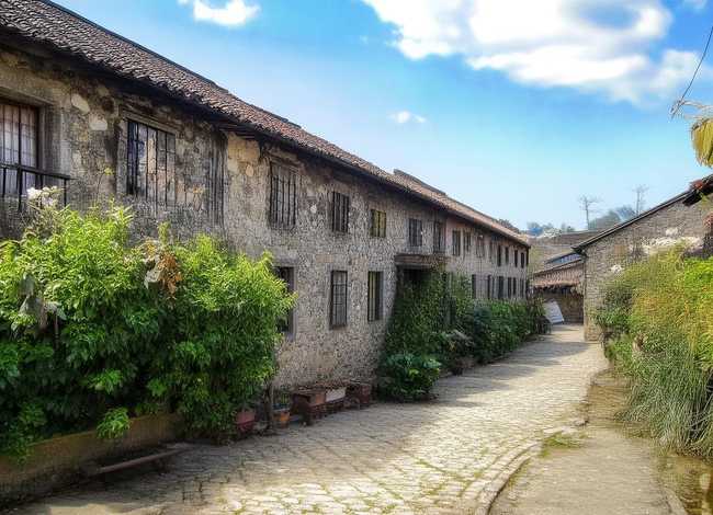 大槐树分家故事；大槐树分家故事简介