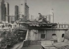 漏的故事简介，漏的故事内容简介100字