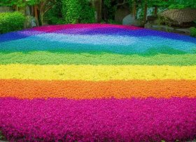 西瓜故事大全 - 西瓜故事大全免费听