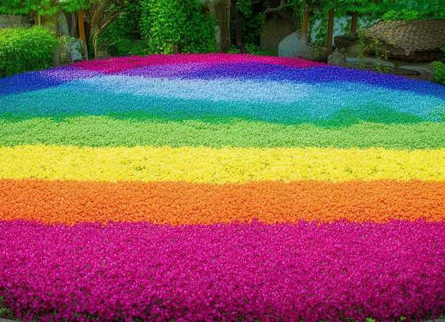 西瓜故事大全 - 西瓜故事大全免费听 西瓜故事大全 - 西瓜故事大全免费听