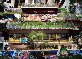 蚊子儿童故事（关于蚊子的儿歌故事）