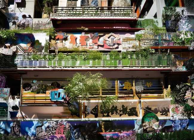 蚊子儿童故事(关于蚊子的儿歌故事) 蚊子儿童故事(关于蚊子的儿歌故事)