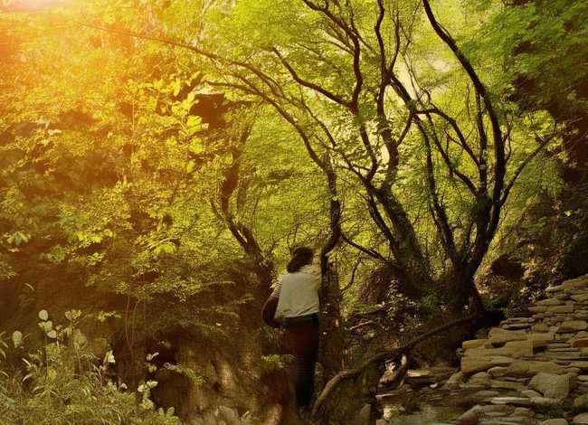 儿童情感和社会能力培养 儿童情感和社会能力培养方法