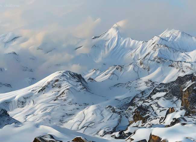 冰雪奇缘的睡前故事 冰雪奇缘的睡前故事中文版