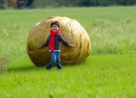 拔萝卜的故事完整版；拔萝卜的故事完整版免费听