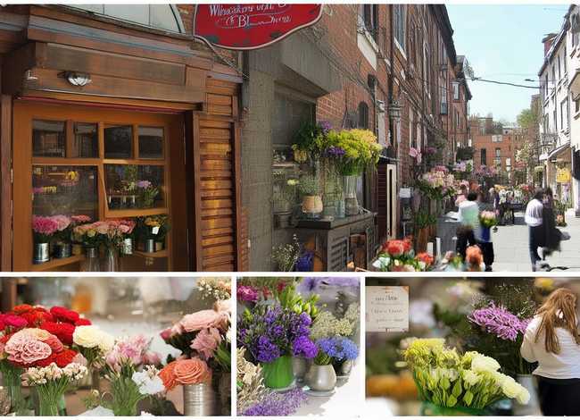 花店的故事作文;花店发生的故事作文 花店的故事作文;花店发生的故事作文