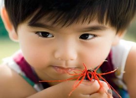 儿童蜘蛛痣（儿童蜘蛛痣不治行不行）