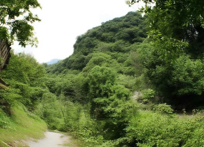 丽江儿童玩哪里比较好,丽江儿童玩哪里比较好玩 丽江儿童玩哪里比较好,丽江儿童玩哪里比较好玩