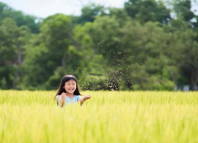 撒饭的故事;撒饭的拼音是什么 撒饭的故事;撒饭的拼音是什么