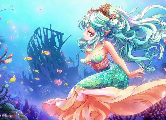 美人鱼小公主故事 - 猫小帅故事美人鱼公主