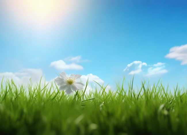 故事图片简单;故事图片简单又漂亮 故事图片简单;故事图片简单又漂亮